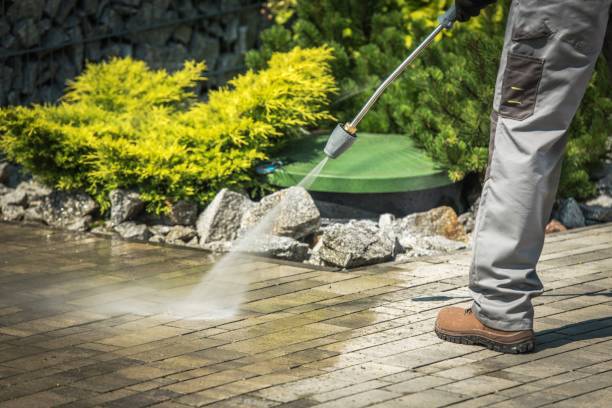 Best Dumpster Area Cleaning  in Ringwood, NJ